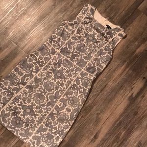 Ann Taylor Shift Dress